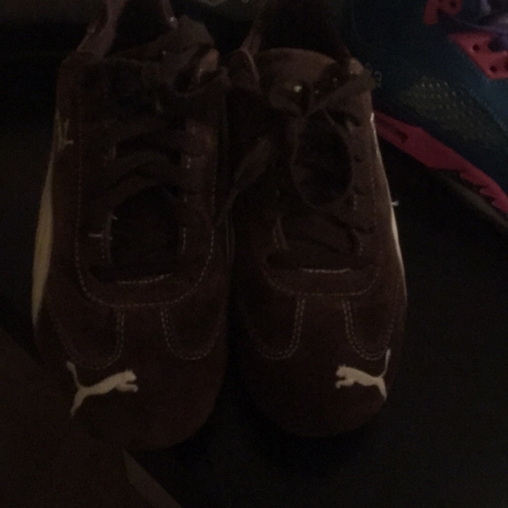 Brown pumas.
